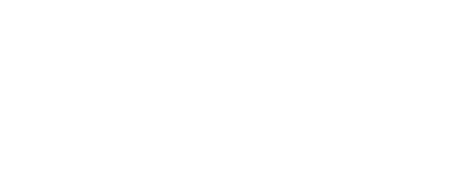 Weisser Logo - White